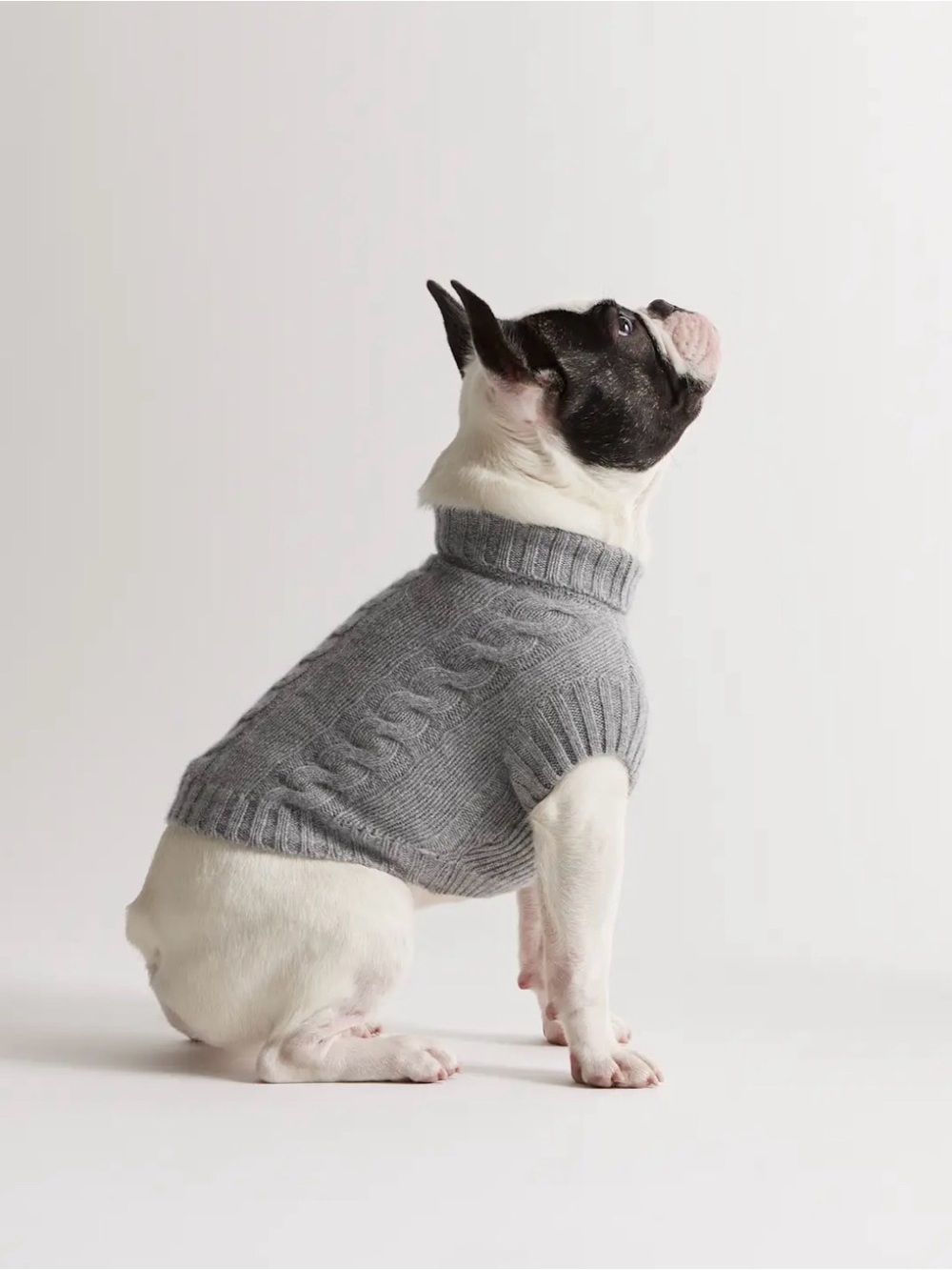 Quince Gray Cable Knit cashmere dog sweater xs new